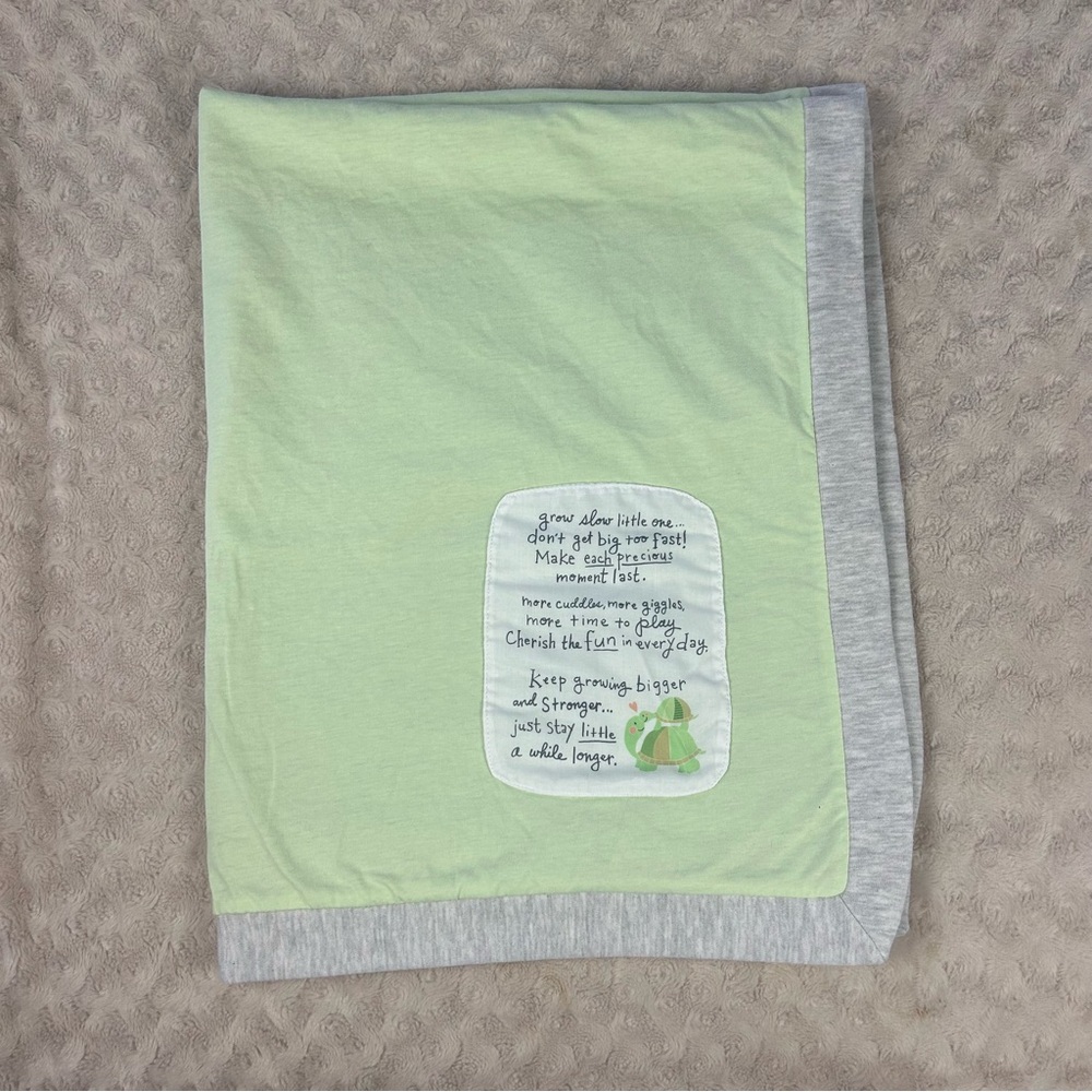 Demdaco Grow Slow Little One Turtle Baby Blanket Green Gray Stripes